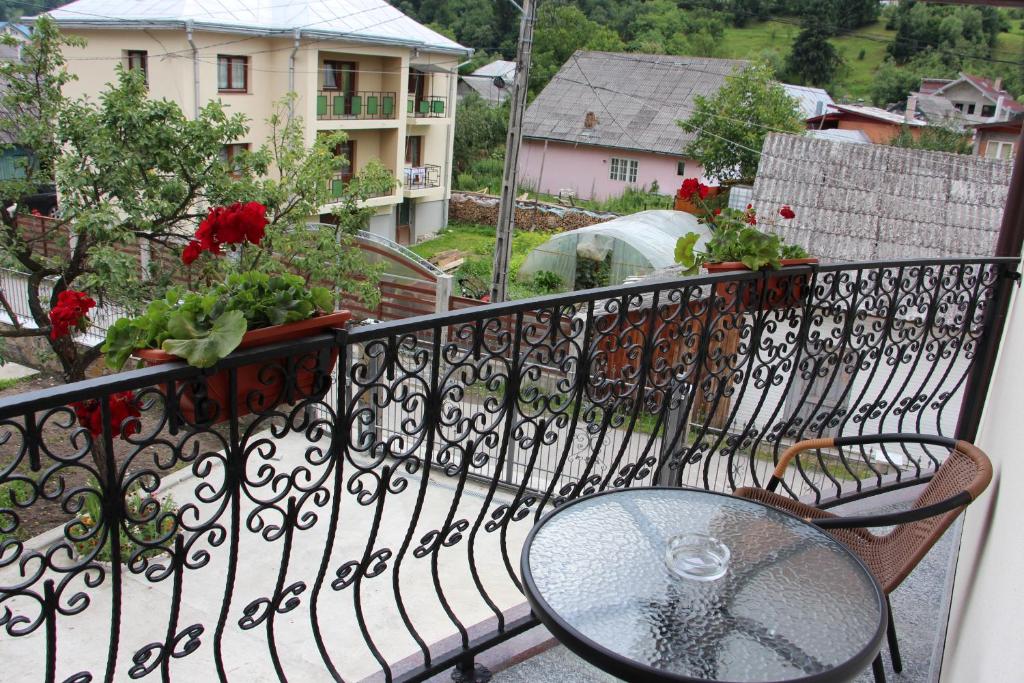 Popasul Calatorului Moisei Maramures 5552